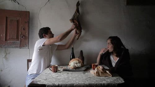 José Combustão dos Porcos Bild 1