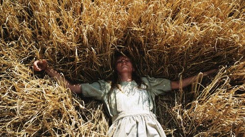 Der du bist im Himmel Bild 3