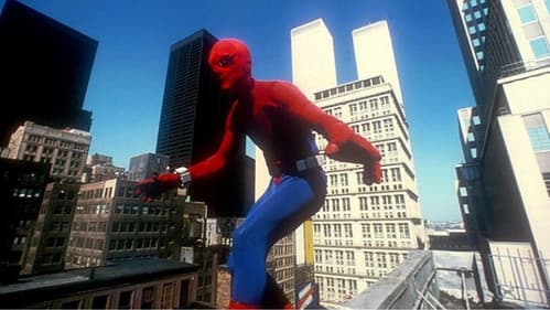 Spider-Man schlägt zurück Bild 2