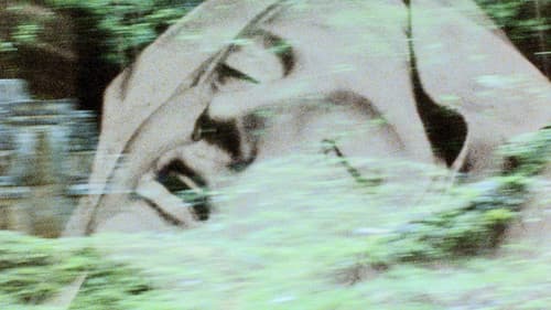 Lamentations: A Monument for the Dead World Bild 1