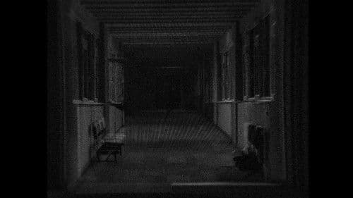 Maddenin Halleri Bild 1