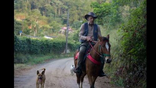 A Árvore Que Chorava Sangue Bild 2