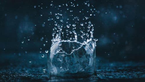 Rain: The Untold Story Bild 1