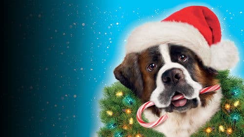 Beethovens abenteuerliche Weihnachten Bild 5