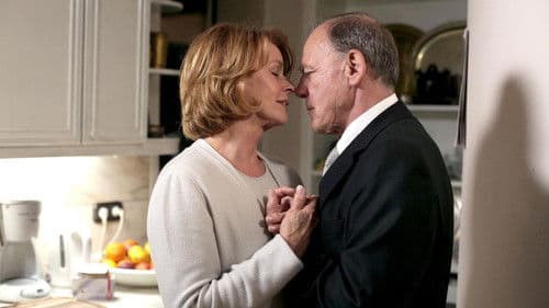 Satte Farben vor Schwarz Bild 3