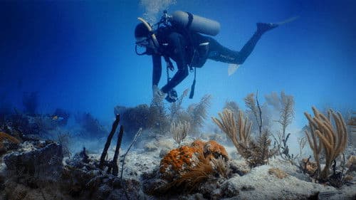 Building Paradise Island Bild 4