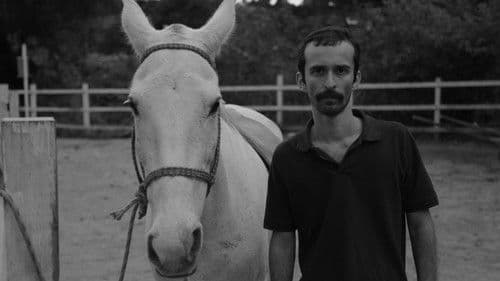 Coice no Peito Bild 1