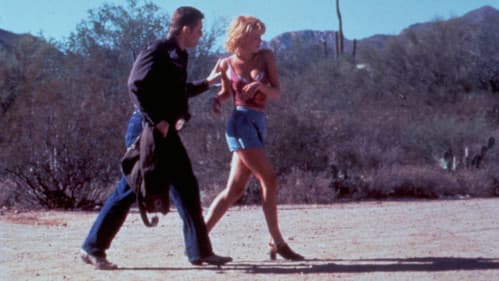 Under the Hula Moon Bild 2