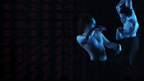 Binary Samurai Bild 2