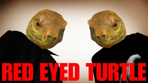 Red Eyed Turtle Bild 2