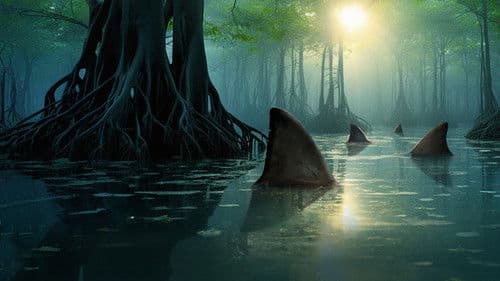 Sharks of the Dead Zone Bild 2