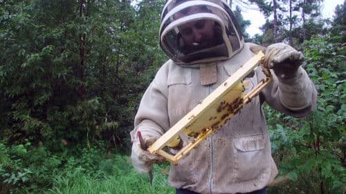 The Bearded Beekeeper Bild 1