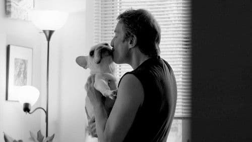 The Cosmic Idiot Bild 4