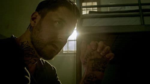 Das dunkle Paradies Bild 6