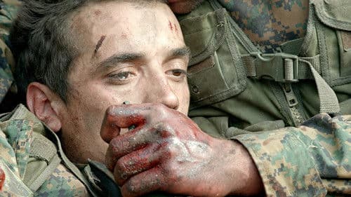 შინდისი Bild 6