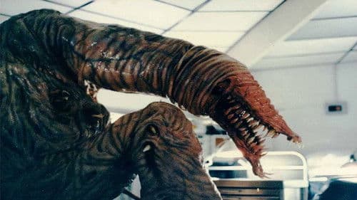 Metamorphosis Bild 2