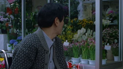 Hana-bi - Feuerblume Bild 7