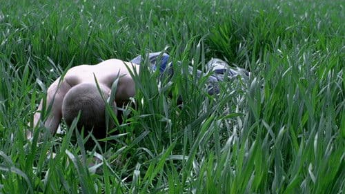 Das Leben Jesu Bild 5