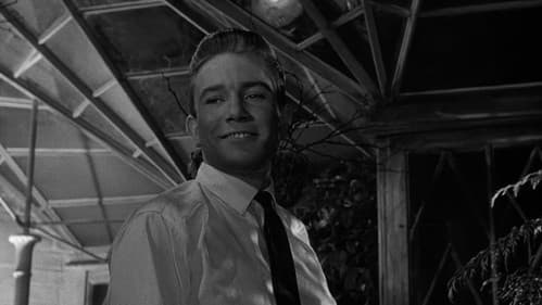 Griff aus dem Dunkel Bild 6