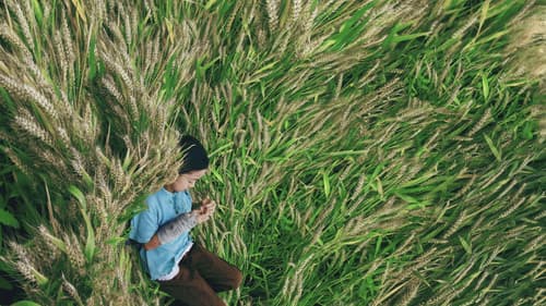 你的眼睛比太阳明亮 Bild 1