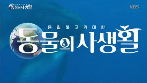 은밀하고 위대한 동물의 사생활 Bild 1