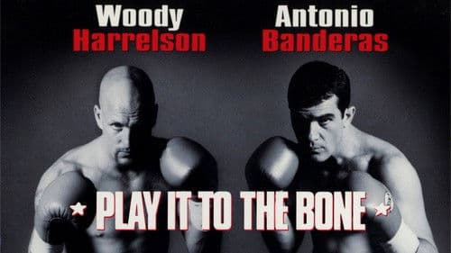 Knocked Out - Eine schlagkräftige Freundschaft Bild 7