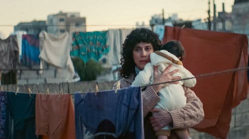 Im Schatten des Orangenbaums Bild 8