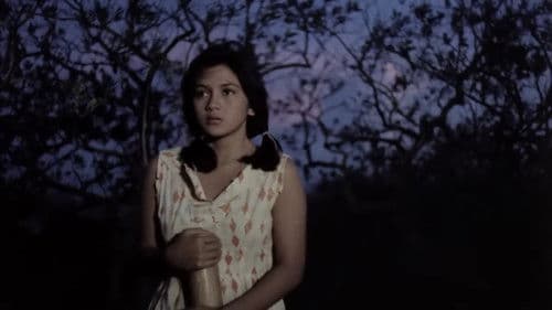 Virgin People Bild 7