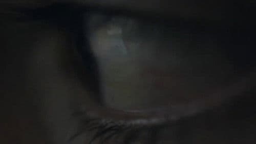 Um Novo Ângulo Bild 5