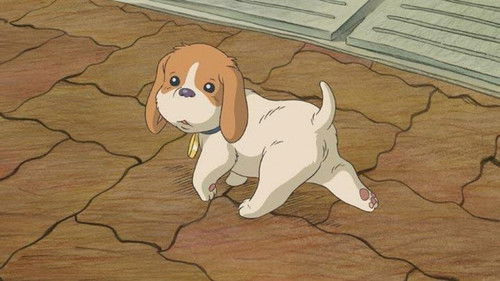 コロの大さんぽ Bild 2