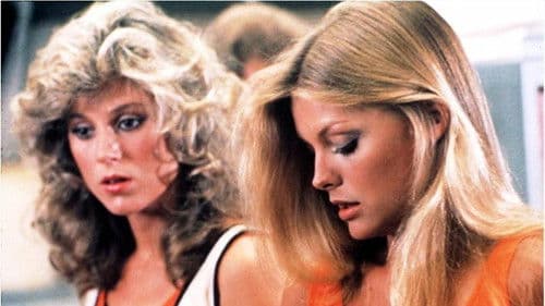 Die Hollywood Gang Bild 7