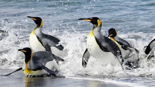 Sounds of the South Bild 1