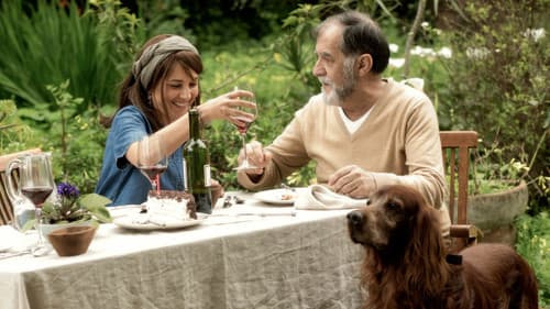 Saras Tagebuch Bild 7