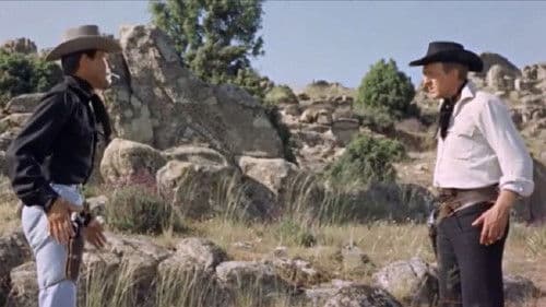 Due contro tutti Bild 1