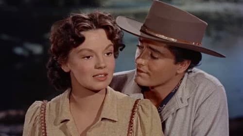 Brandmal der Rache Bild 4