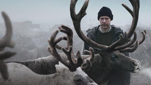 Цинга Bild 1