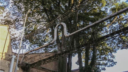 o céu diante dos meus olhos nunca é cinza Bild 2