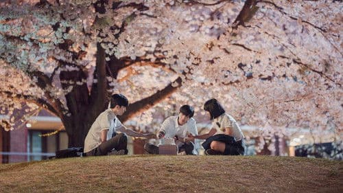 A Time Called You Bild 7