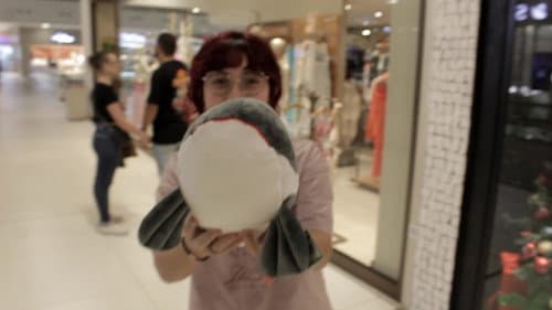 Viagem dos Sonhos Bild 5
