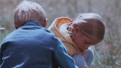 Värvilised unenäod Bild 4