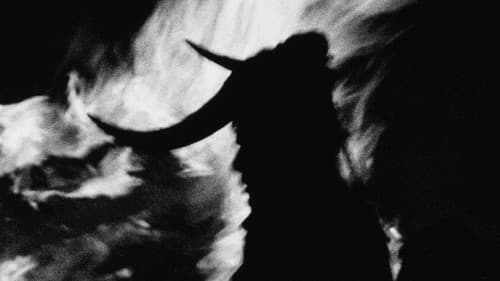 Una Dança Non Sancta Bild 1