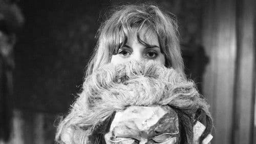 Noc s mačkou Bild 1