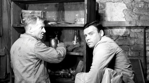 Heilmittel gegen Liebe Bild 6