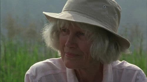 The Company of Strangers Bild 8