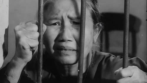 Tướng Về Hưu Bild 1