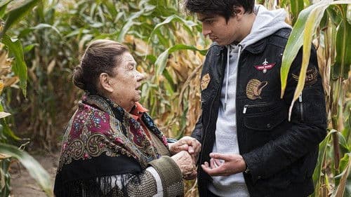 Misz masz czyli Kogel mogel 3 Bild 5