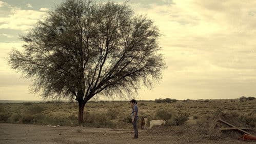 Cómo funcionan casi todas las cosas Bild 2