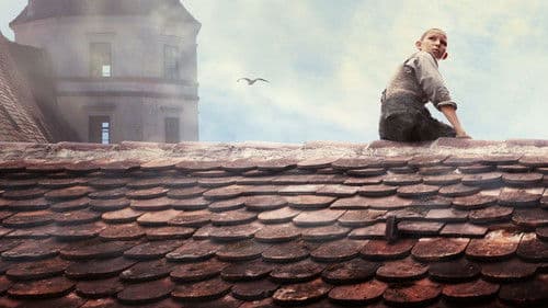 Nebel im August Bild 1