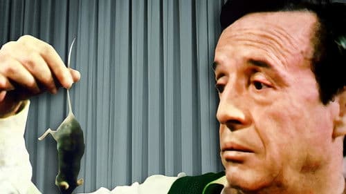 Don Ratón y Don Ratero Bild 4