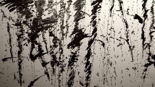 Misérable miracle Bild 6